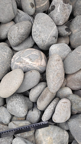 Kamenclub.ru: Галька речная окат (темно-серая) фр. 70-150 мм. купить  в Саратове галька речная темно-серая, синяя, серая речная галька округлая  8000 руб/т   фото КАМЕНЬ КЛУБ