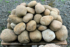 Kamenclub.ru: Песчаник ядра, фр. 100-300 мм  купить в Саратове песчаник бежевый серый рыжий речная галька 5 000 руб/т   фото КАМЕНЬ КЛУБ