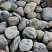 Kamenclub.ru: Речной валун (Ассорти) фр.100-300 мм.  купить в Саратове галечник серый, темно-серый, светло-серый речная галька крупных размеров 4200 руб/т   фото КАМЕНЬ КЛУБ