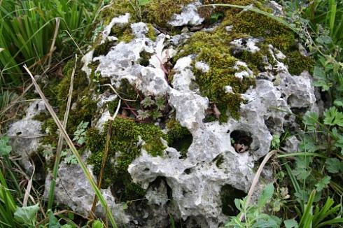 Kamenclub.ru: Выветренный известняк со мхом фр. 100-500 мм.  купить в Саратове известняк серый белый зеленый валун известняковый крупный 10000 руб/т   фото КАМЕНЬ КЛУБ