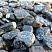 Kamenclub.ru: Щебень галтованный черный (мрамор) фр.20-40 мм.  купить в Саратове мрамор черный с белыми прожилками мрамор окатанный округлый 15000 руб/т   фото КАМЕНЬ КЛУБ