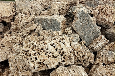 Kamenclub.ru: Крымский природный меотис фр. 100-500 мм.  купить в Саратове меотис бежевый рыжий молочный желтый ракушечник 4 500 руб/т   фото КАМЕНЬ КЛУБ