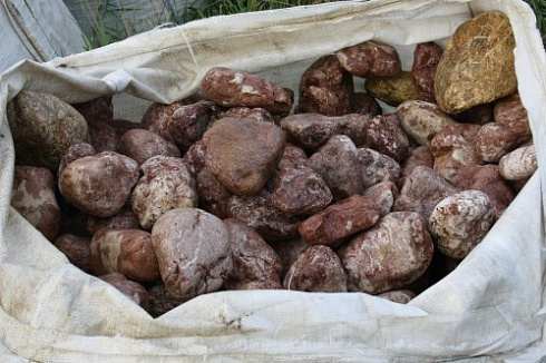 Kamenclub.ru: Розовый валунчик фр.100-300 мм.  купить в Саратове крупный природный камень розовый, серый молочный красный речной галечник природный 7850 руб/т   фото КАМЕНЬ КЛУБ