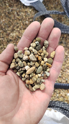 Kamenclub.ru: Галька окат (серо-желтая) фр.5-10 мм. купить  в Саратове галька речная рыжий, желтый, рыжий, серо-желтый речная окатанная галька декоративная 5000 руб/т   фото КАМЕНЬ КЛУБ